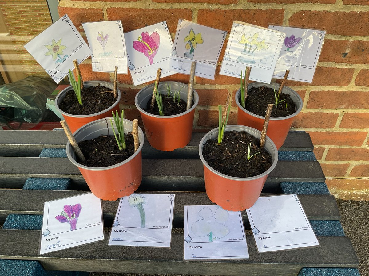 arwprimary tweet media