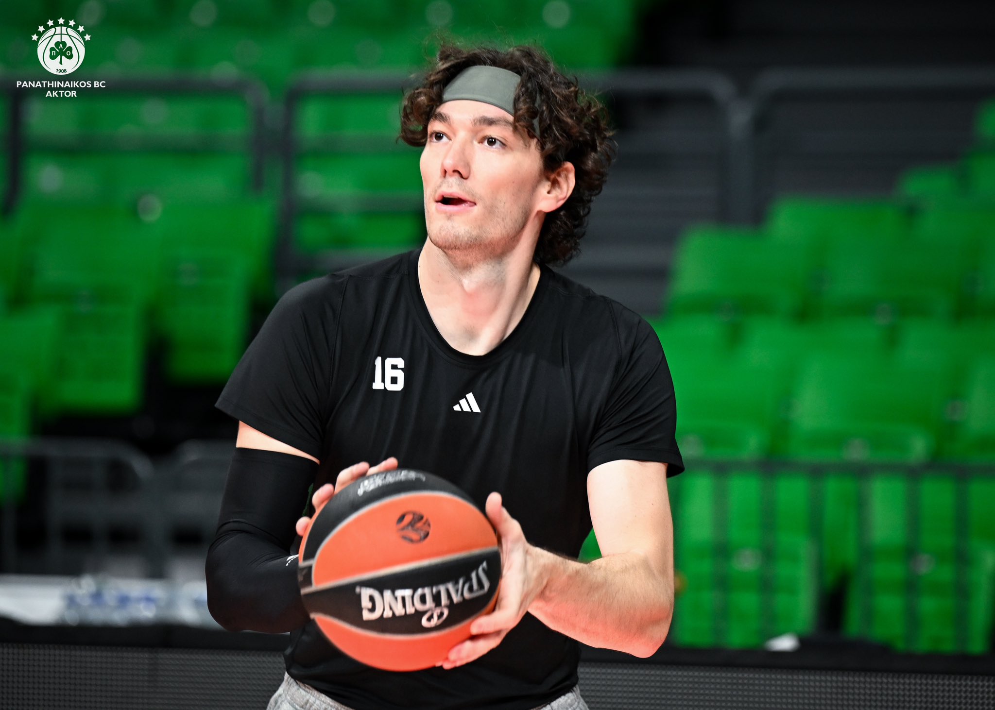 cedi osman