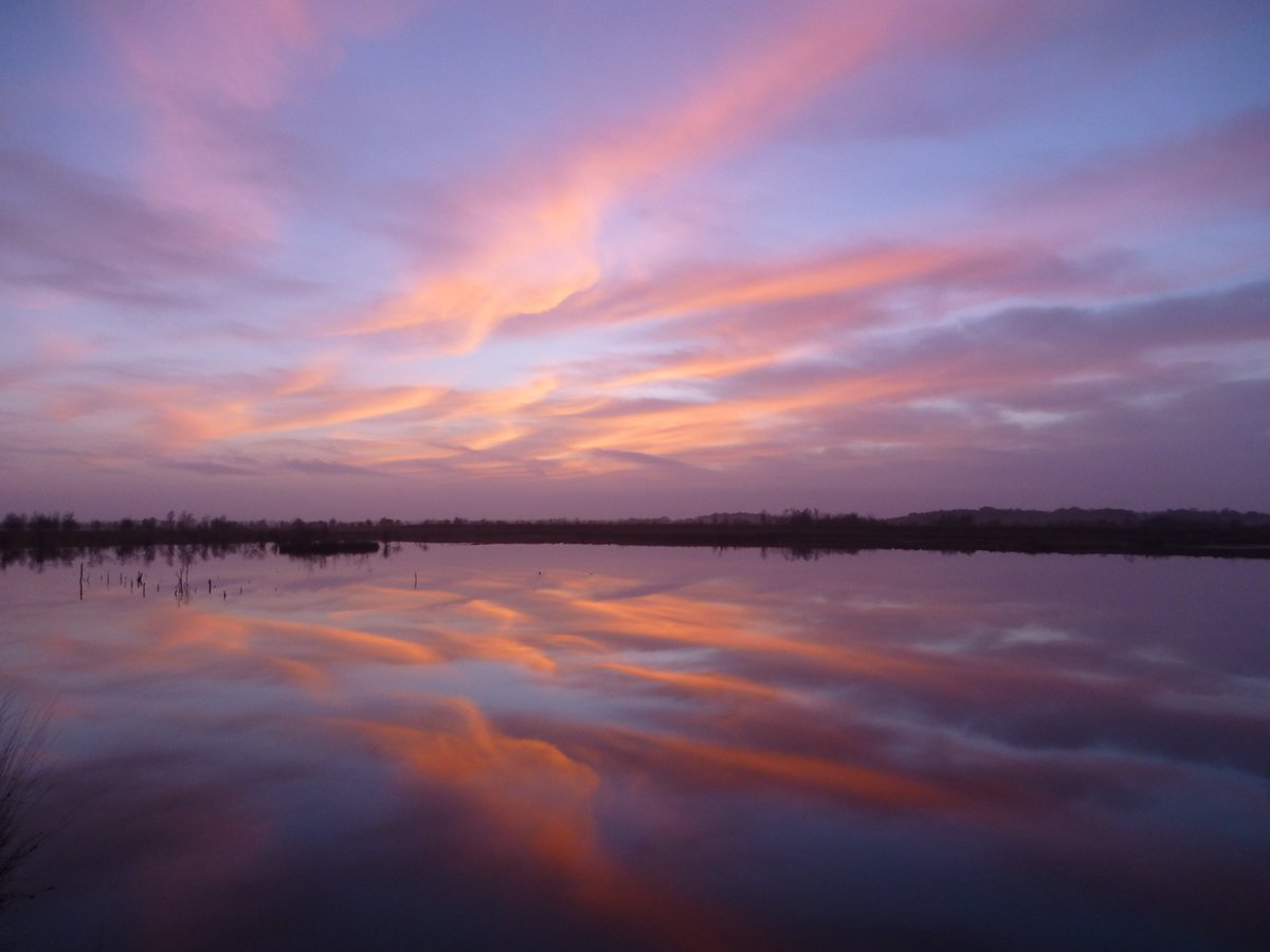 #Zonsondergang #Bargerveen #Drenthe #hoogveen <a href="/staatsbosbeheer/">Staatsbosbeheer</a>, vrij schier, die kleurtjes.....toch? Net nu!
