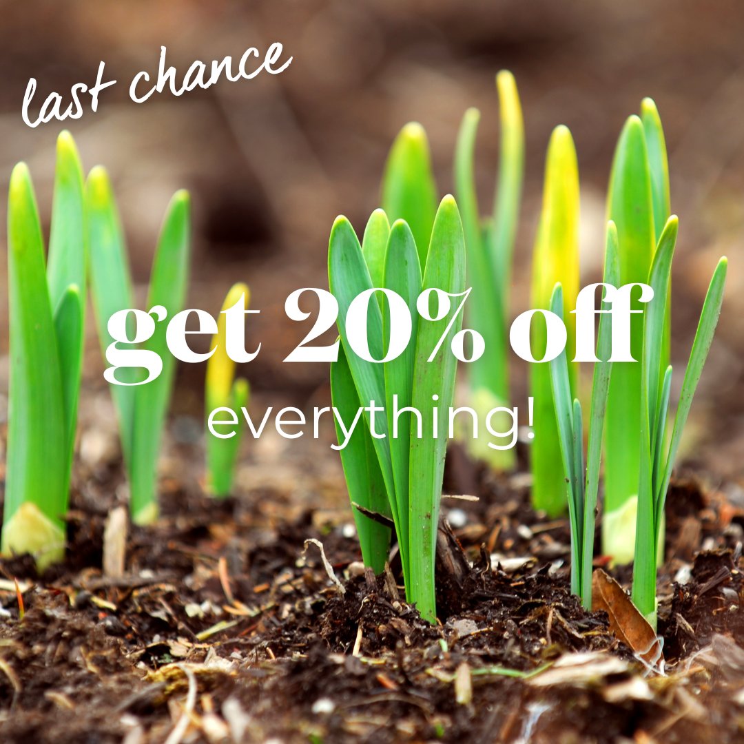 ⏳ Last Chance! 🌼 Spend £40 and get 20% off everything – but hurry, this offer ends today! 🌱 Don’t miss out on stocking up for spring. Shop now and save! 🌷✨ #SpringSavings #EndsToday #GardenReady
