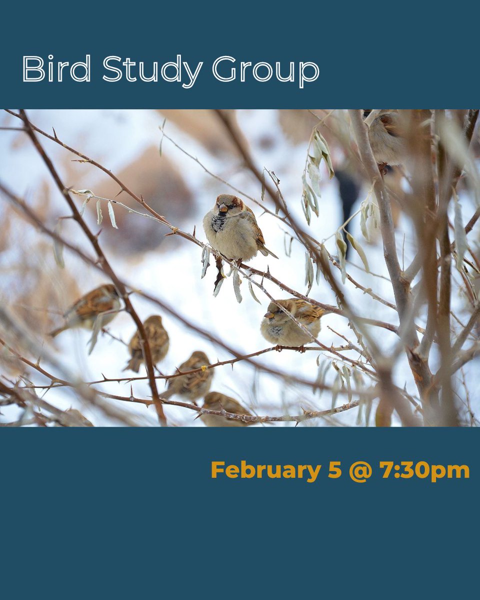 Join us this Wednesday for our next Bird Study Group at 7:30. David Scott will share his experience travelling from Cold Lake to the Crowsnest Pass to tally as many bird species as possible in 24 hrs. Members will receive email day of the event with zoom link to join.