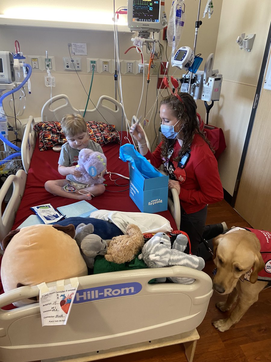 Norton Children's (@nortonchildrens) on Twitter photo 🎉 Make a Child’s Valentine’s Day Extra Special! 🎉
Sending love and smiles is just a click away! Head over to NortonChildrens.com/Valentine to send an e-card or a <a href="/sendafriendco/">SendAFriend ✨</a> stuffed animal to a patient at Norton Children’s. 🎉 Make a Child’s Valentine’s Day Extra Special! 🎉
Sending love and smiles is just a click away! Head over to NortonChildrens.com/Valentine to send an e-card or a <a href="/sendafriendco/">SendAFriend ✨</a> stuffed animal to a patient at Norton Children’s.