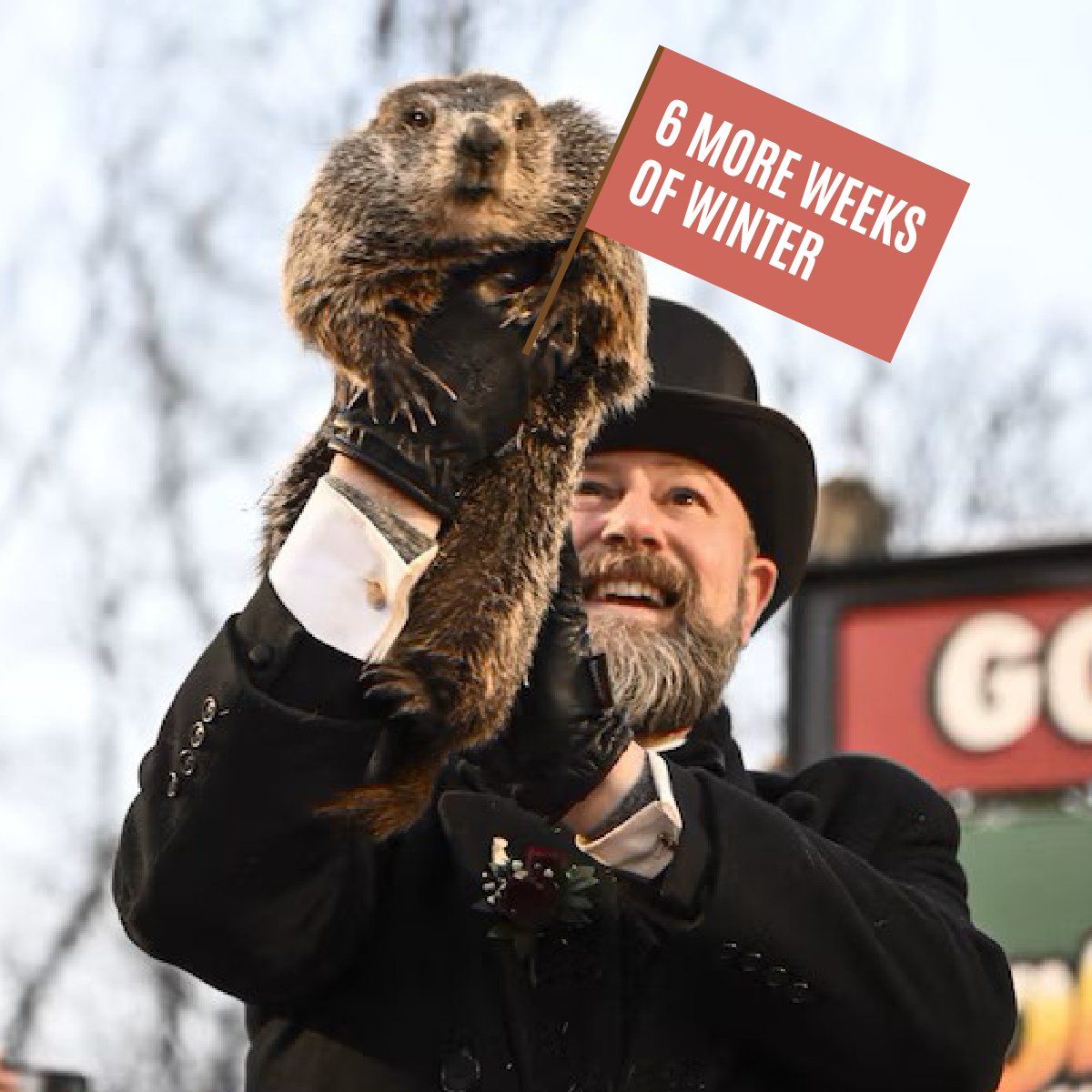 We think 6 more weeks of winter is the perfect excuse to hunker down and cozy up with a good book and your loved ones!