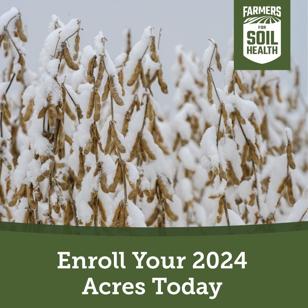 The enrollment deadline for the 2024 cover crop season is February 28. Enroll today for financial assistance to help offset the costs of cover crop adoption and access to local technical advisors who will help you through the process.

Enroll now at FarmersforSoilHealth.com/enrollment/.
