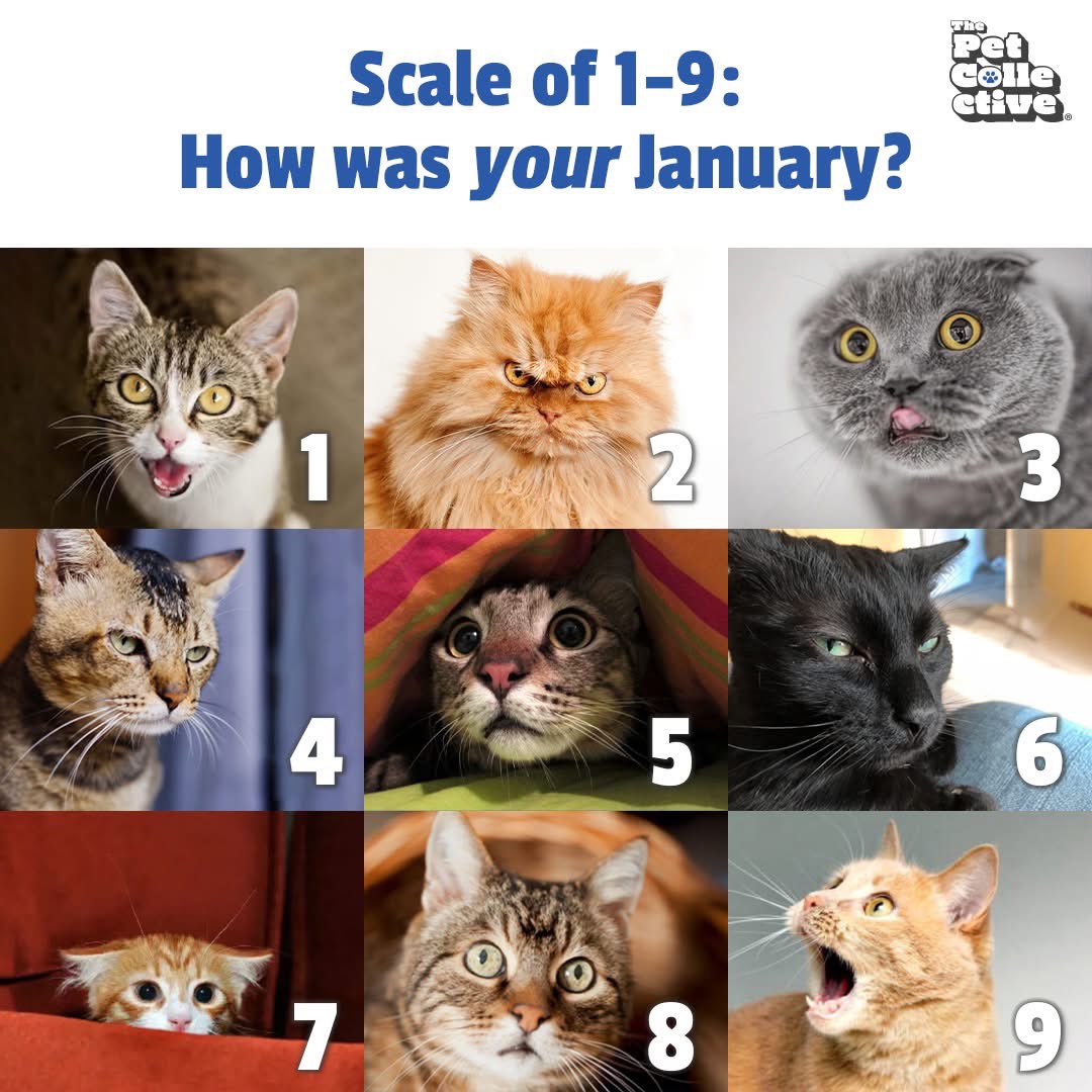 Ok, on a scale of 1-9, how was *your*January?