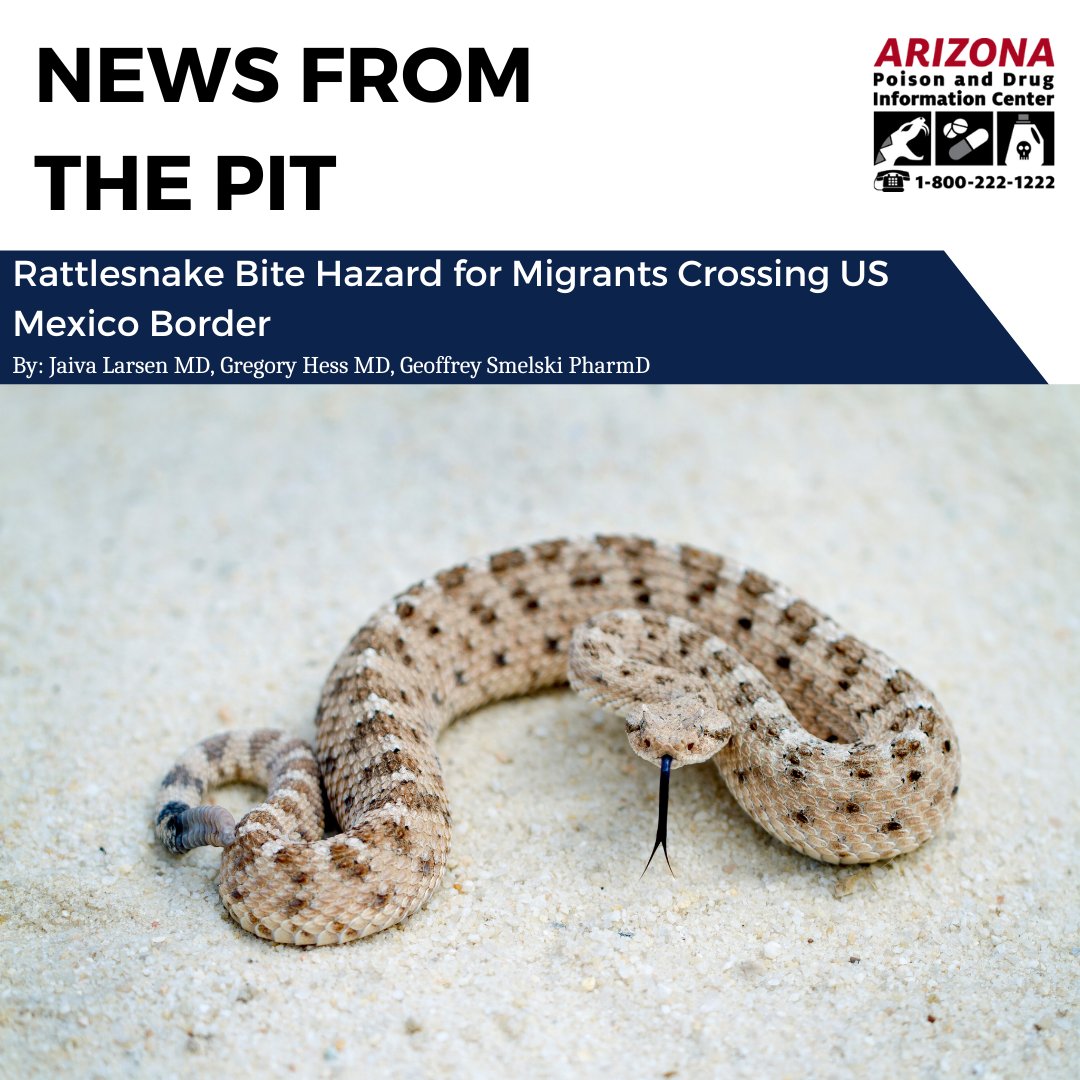 The February edition of News From The Pit is now available on our website. This month's newsletter discusses the risks and outcomes associated with rattlesnake bites among migrant populations. azpoison.com/.../february_2…
#rattlesnake #snakebite #healthcare #envenomation #toxicology