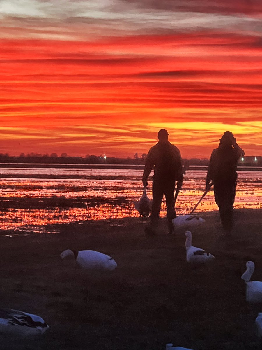 FullScaleDale's tweet image. Usually a sunset photo is the hallmark of a busted hunt.  Not this one!  Spring conservation order has begun!  #snowgeese #springsnows #goosehunting #geese #snows #conservation #fullscaleoutdoors