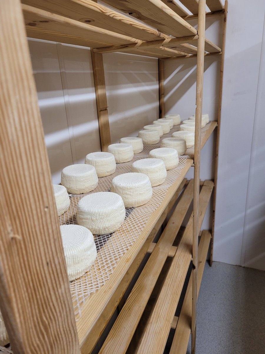 Just some little cheeses a different take on the brogue without the blue <a href="/JoeBangles11/">Joe Bangles CBE</a> <a href="/ChiswickM/">Cheesewick</a> <a href="/foodawardsHQ/">Weetabix Northamptonshire Food & Drink Awards</a> <a href="/ChronandEcho/">Northampton Chron</a> <a href="/BernieKeith100/">Bernie Keith</a>