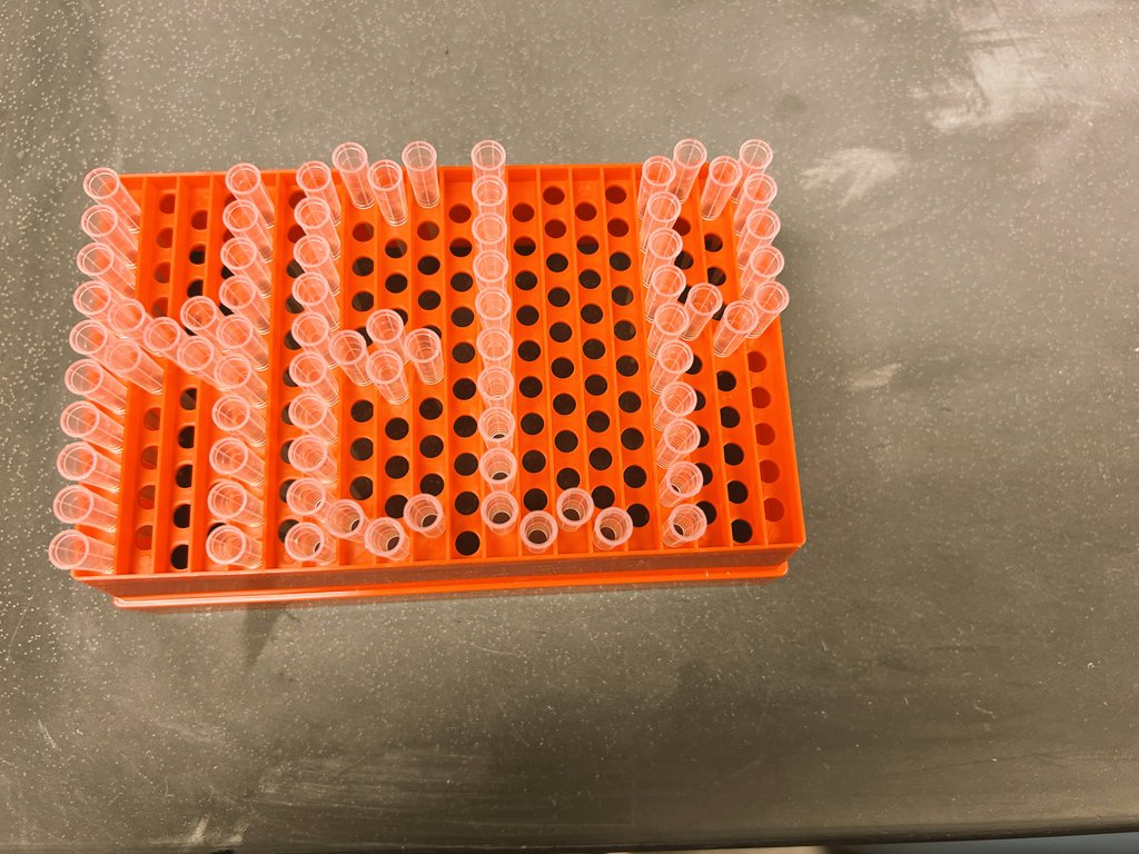 DNA_RNA_Uni's tweet photo. Pipetting during the 6th year of PhD https://t.co/MvHXrhNNOt