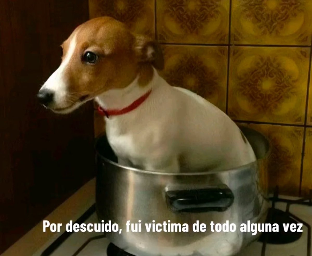 conoloracigarro's tweet photo. https://t.co/kVi5gLjU3J
