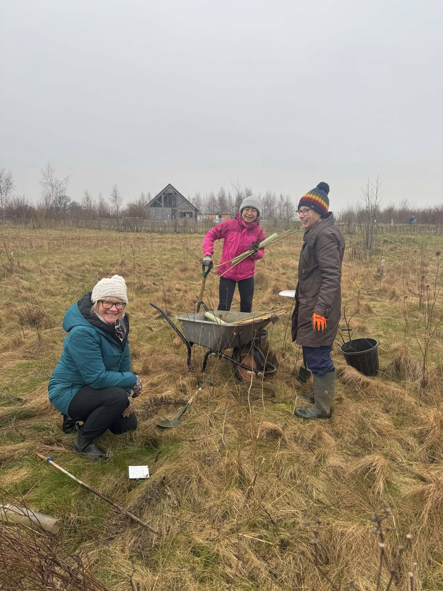 Andover Trees United tweet media