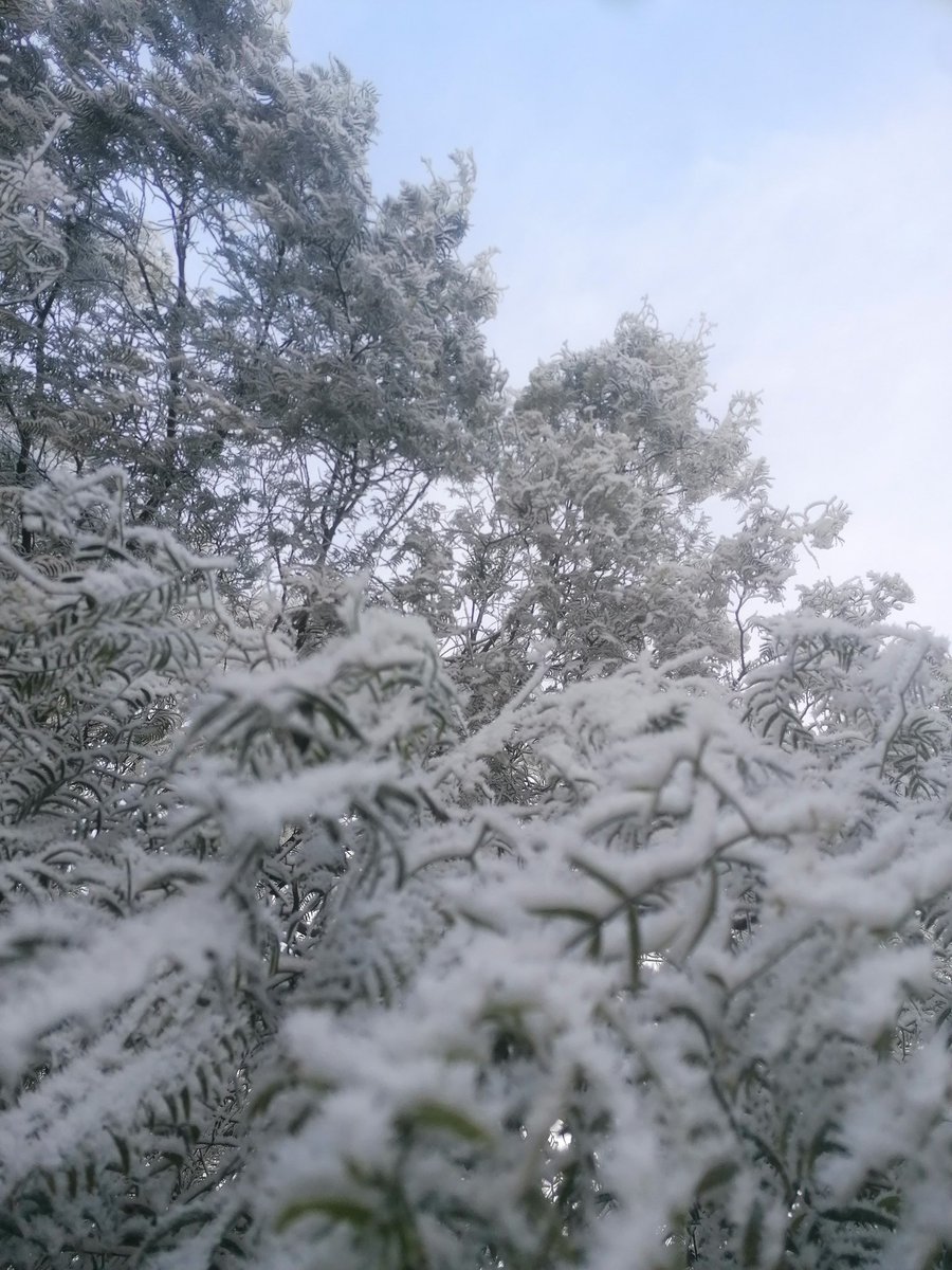 fabperlab's tweet image. Looking forward to the reimagined version of ‘Wish You Were Here"  @iyahmaymusic