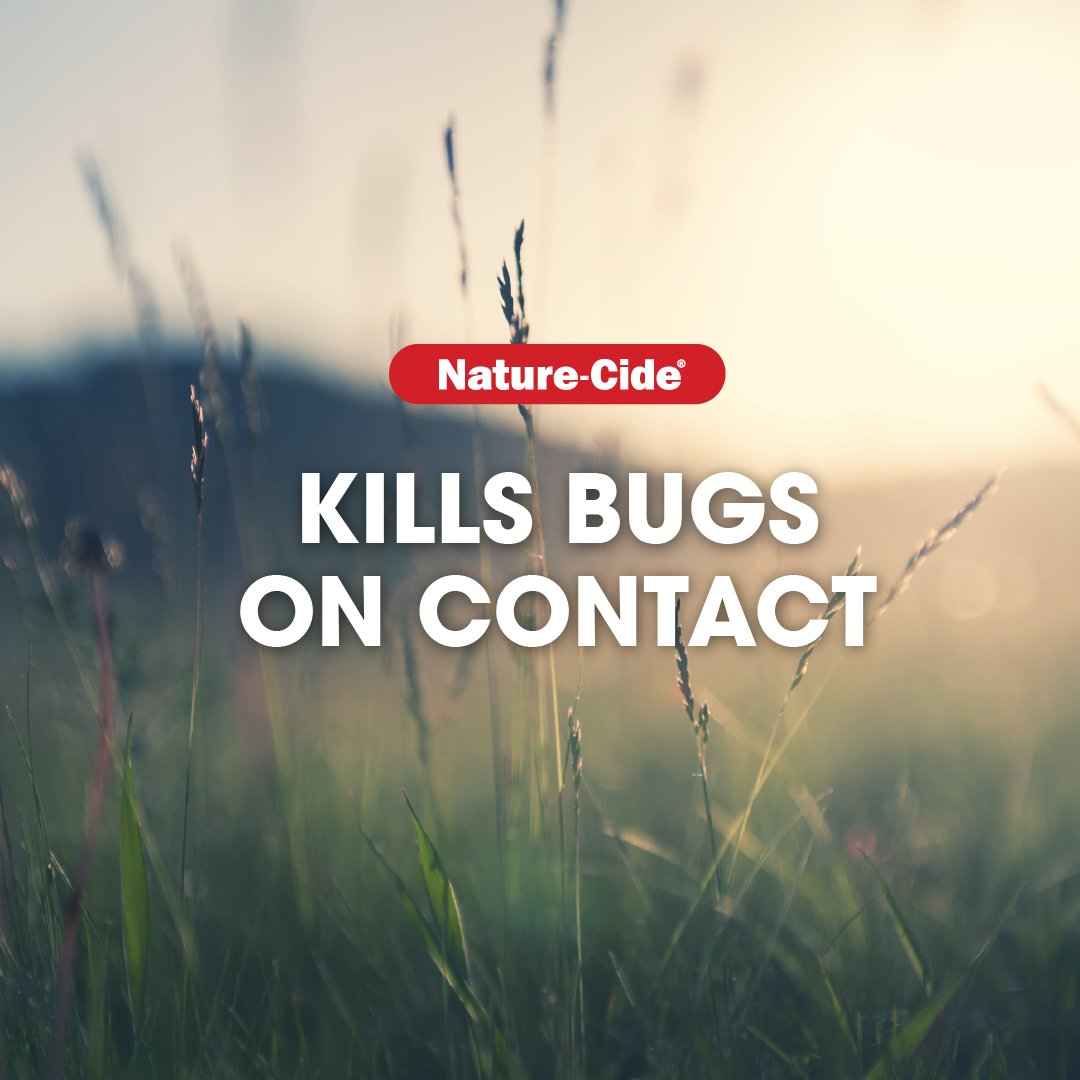 naturecide's tweet photo. Instant results, natural ingredients. 🌱 Nature-Cide kills bugs on contact without harmful chemicals. 🦟✨ #NatureCide #KillsBugs #InstantResults #EcoFriendly #NoChemicals #NaturalPestControl #GreenLiving https://t.co/tXnqbVaX5t