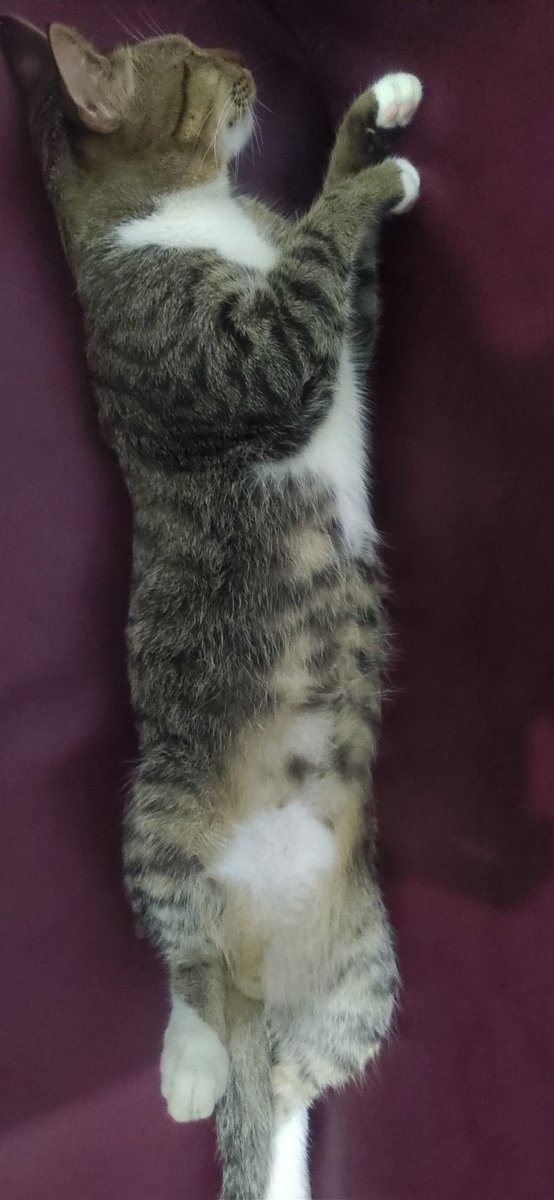 SimEject's tweet image. Ninjaaa