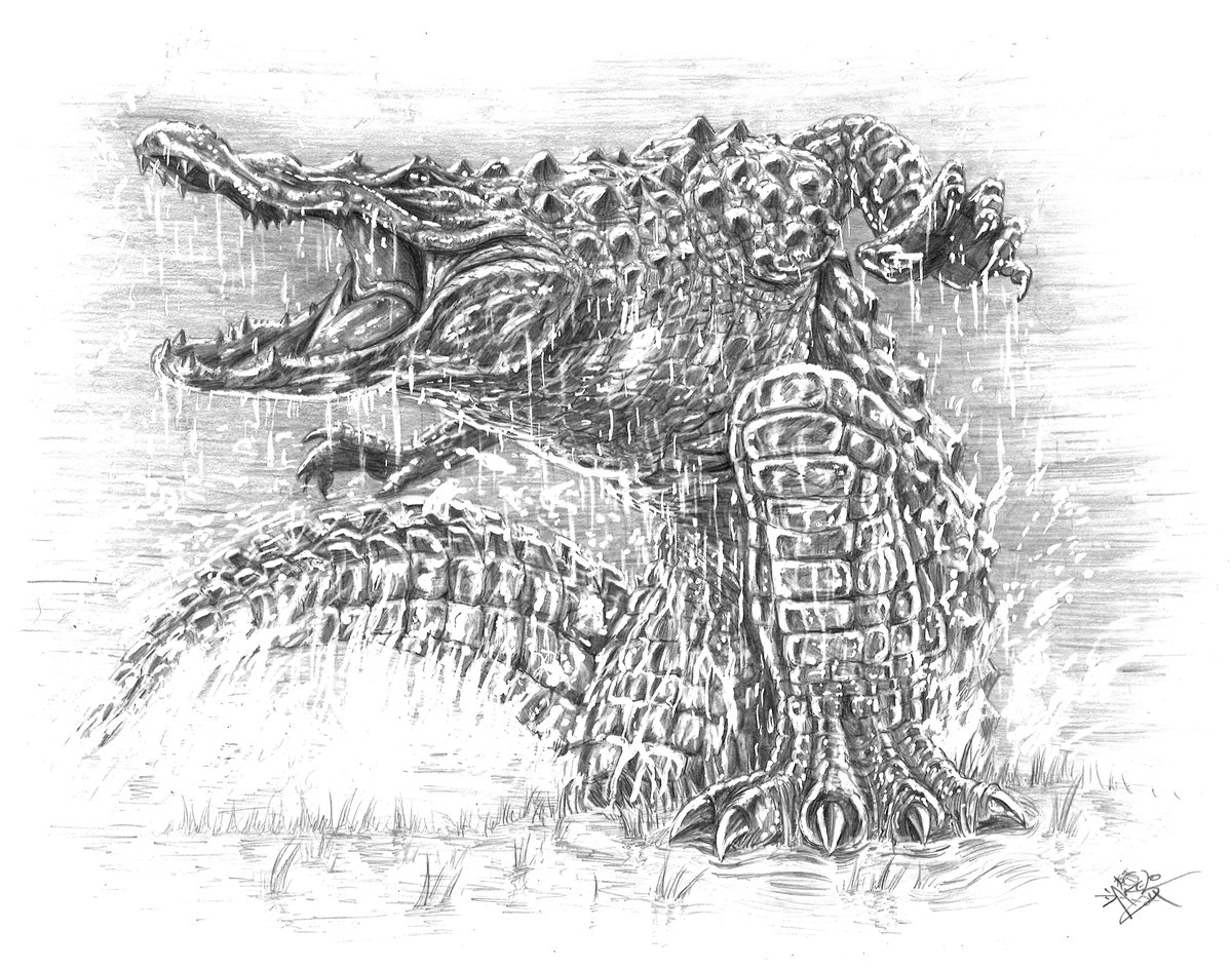 Allow me to introduce TEOC! An alligator-skinwalker, he is a foot soldier for the Spirit Council. See this in the art gallery for the new BLACKBIRDS DANCE, which drops on 2/18! I can't wait to reveal this crazy horror/epic adventure!
#blackbirdsdance #skinnersaga#encylopocalypse