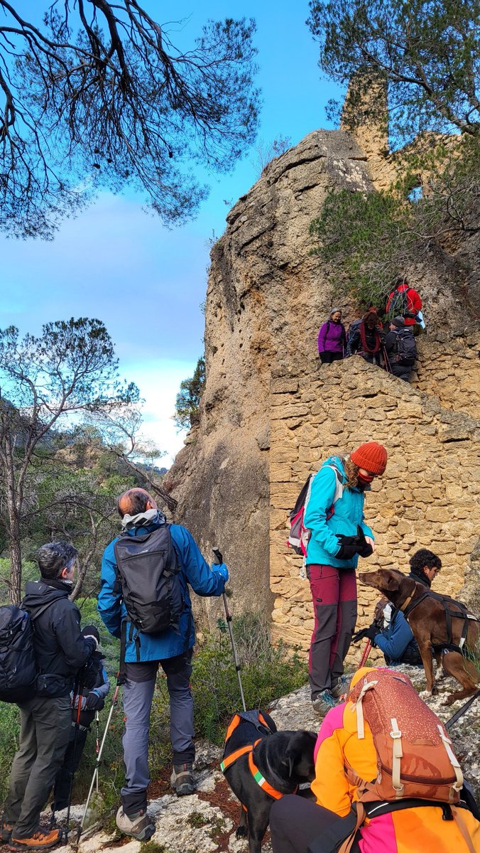 AEC de Reus (@aec_reus) on Twitter photo Fotos de la darrera sortida excursionista a la Serra de Cardó, dins del cicles "El Baix Camp i tu... A Peu". Gràcies a la col·laboracio de l'<a href="/AEC_Reus/">AEC de Reus</a> i el <a href="/CEBaixCamp/">CE Baix Camp</a> des de fa més de 26 anys.📸👇🏼
photos.app.goo.gl/snD9QmNvYofmyU…
#AECReus #CEBC #EsportVerd #FEEC Fotos de la darrera sortida excursionista a la Serra de Cardó, dins del cicles "El Baix Camp i tu... A Peu". Gràcies a la col·laboracio de l'<a href="/AEC_Reus/">AEC de Reus</a> i el <a href="/CEBaixCamp/">CE Baix Camp</a> des de fa més de 26 anys.📸👇🏼
photos.app.goo.gl/snD9QmNvYofmyU…
#AECReus #CEBC #EsportVerd #FEEC