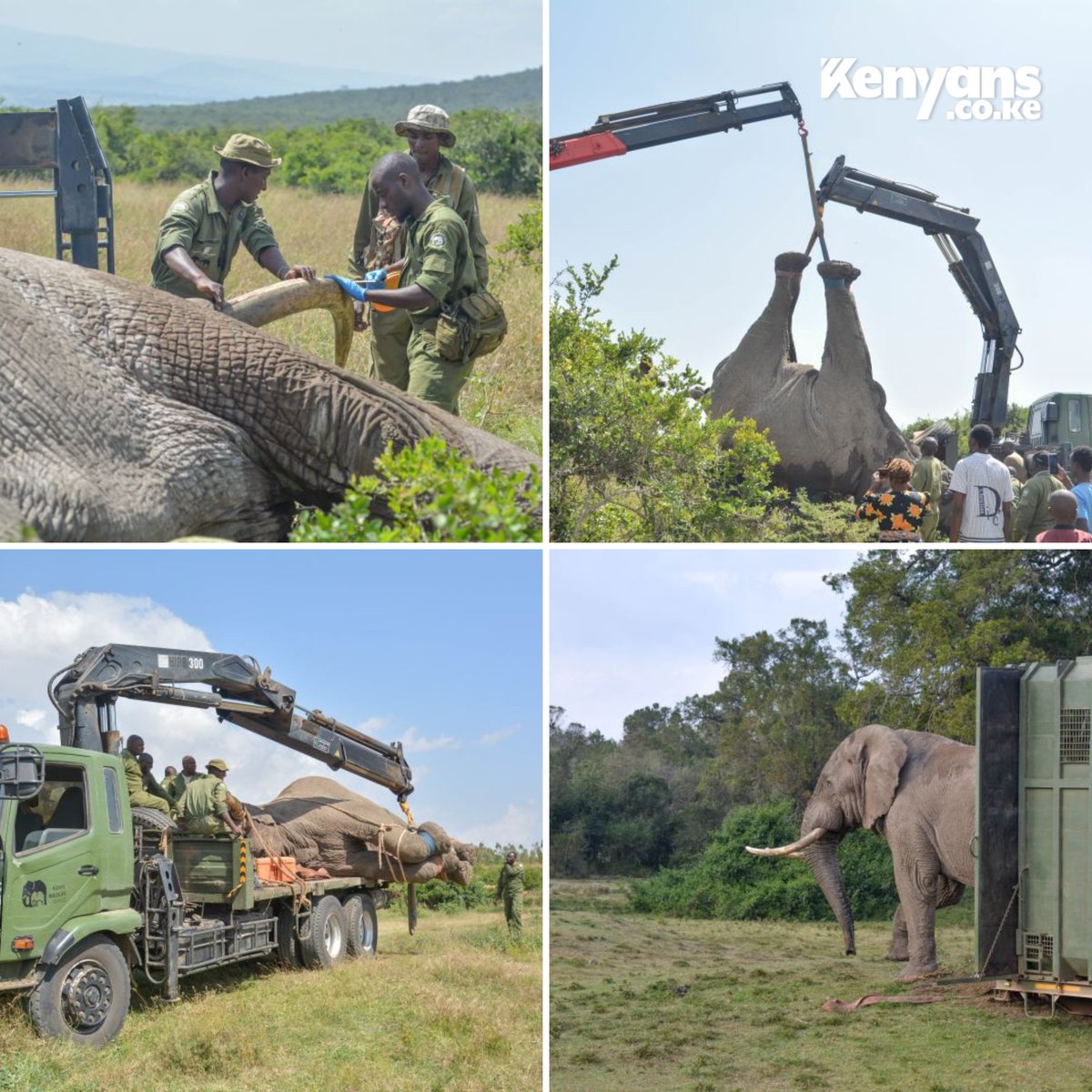 Kenyans tweet picture