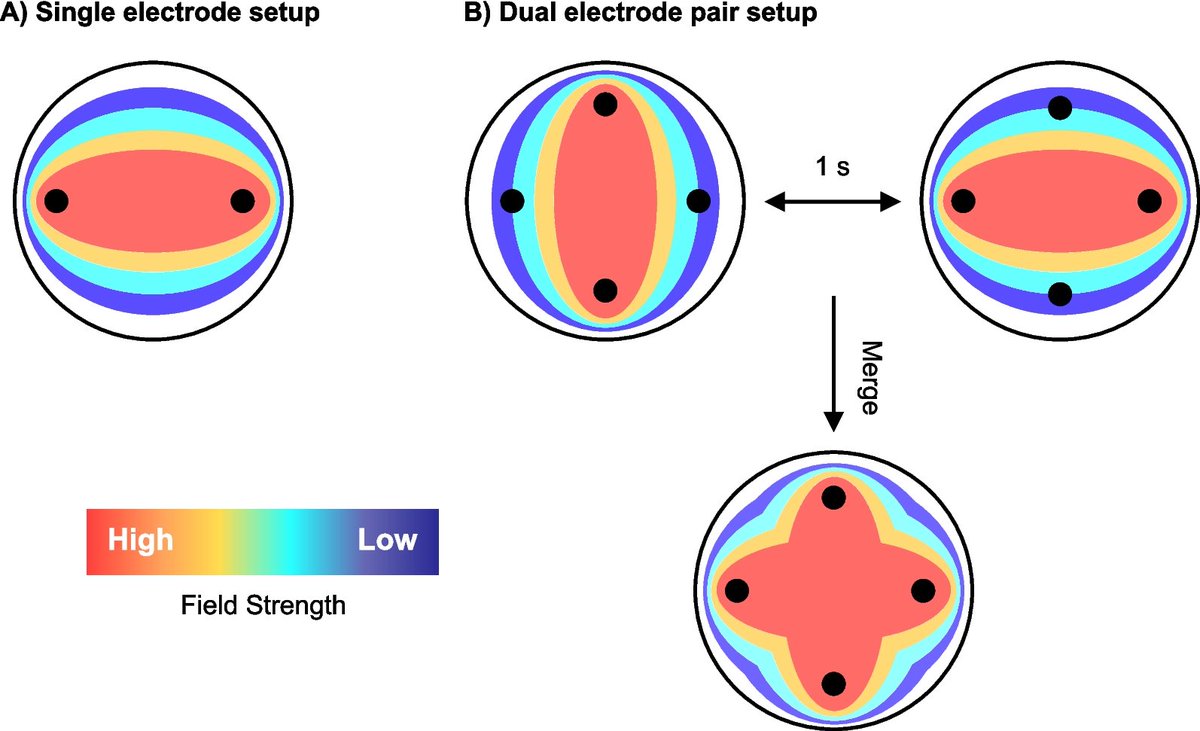 January publication: Advancing cancer therapy with custom-built alternating electric field devices bioelecmed.biomedcentral.com/articles/10.11… #BioelectronicMedicine #cancertherapy