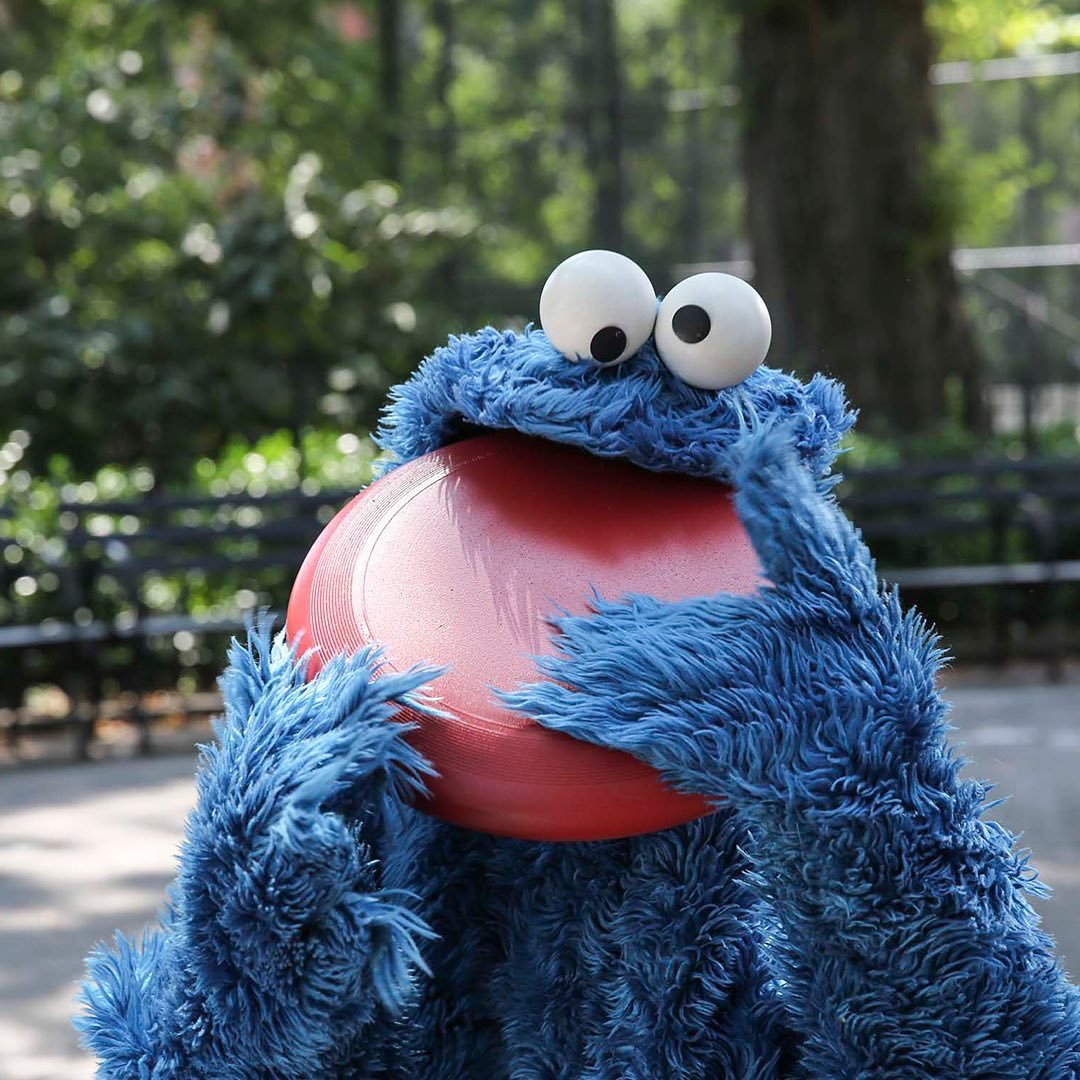 Me not sure if this is cookie, but me going to eat it just in case.