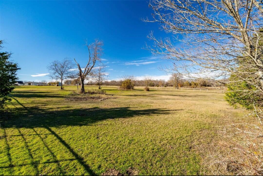 Addy_arjunaidi3's tweet image. At my neighbor&apos;s farm, I saw alpacas and the horses they raise. Occasionally, you can hear the sounds of cows and sheep being herded out. It was also my first time seeing an alpaca spit, haha! #Texas #NewBraunfels #Farm #Alpacas #Horses #OrganicFarm #FarmLife