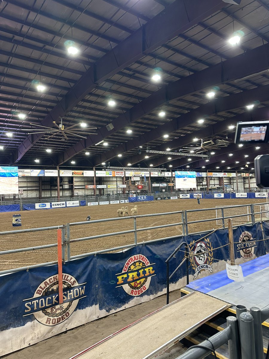 My first day at the Black Hills Stock Show and Rodeo is being spent at the sheep dog trials 🐑 🐶 stay tuned to <a href="/AgweekMagazine/">Agweek</a> for all our coverage this week from rapid city!