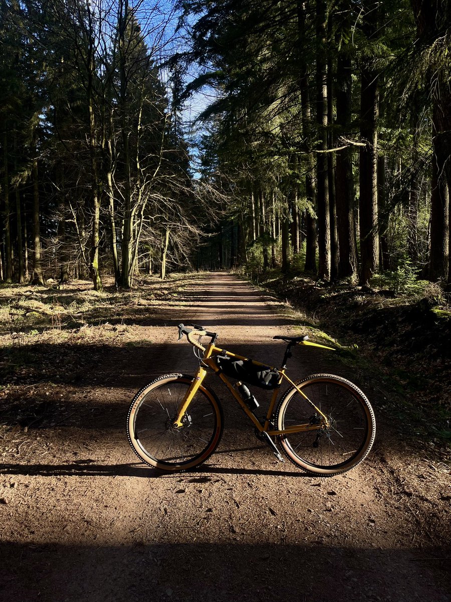 Jirka.Ch tweet media