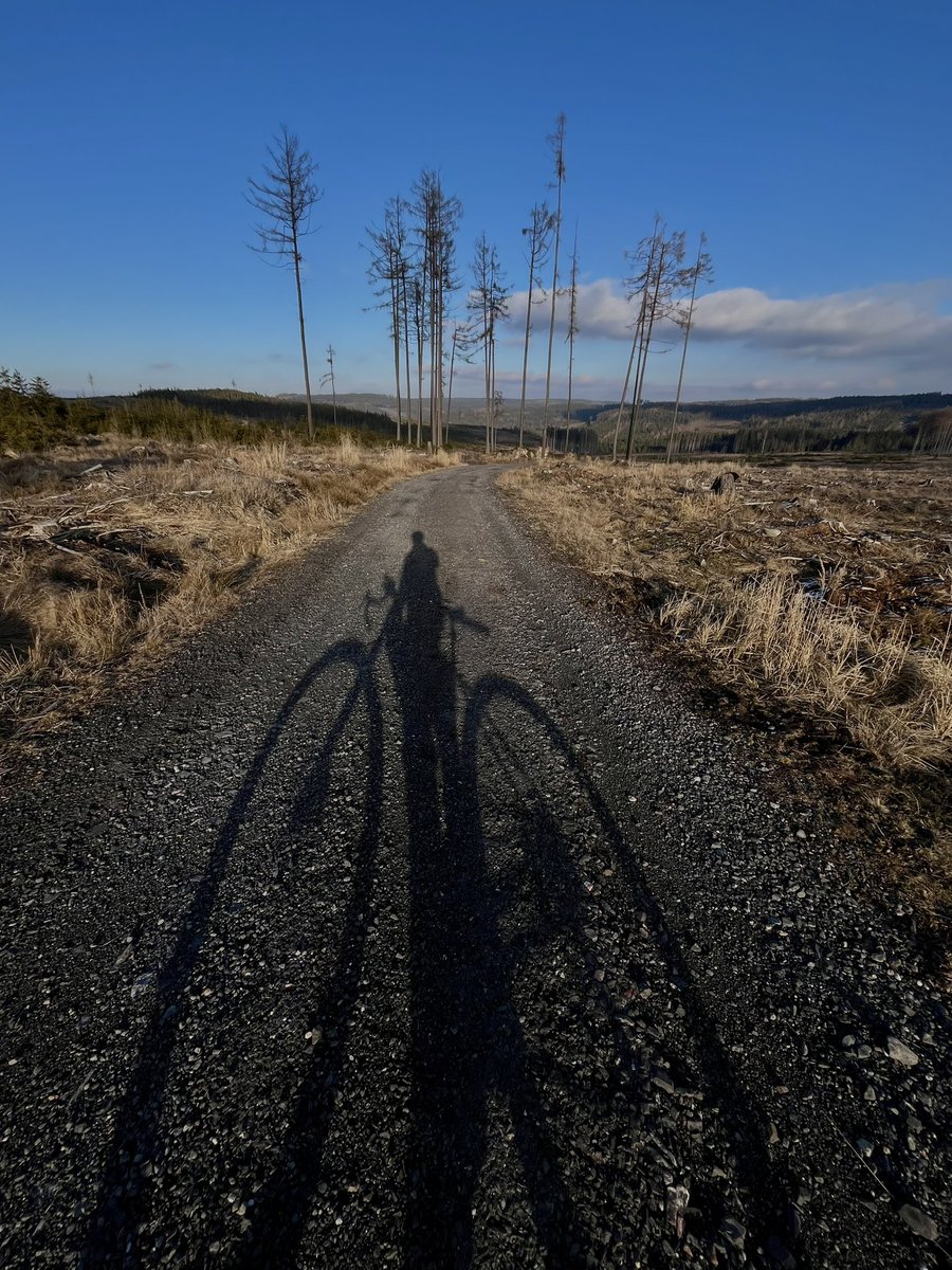 Jirka.Ch tweet media