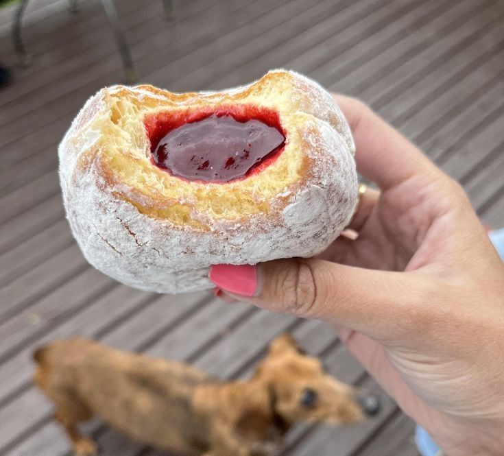 daily_dolce's tweet photo. Jam or chocolate filling? 🍩💗 https://t.co/4tUTbY88Yv