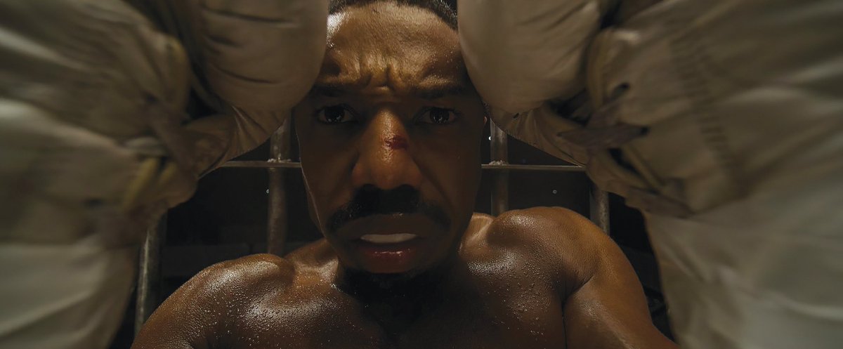 SP8 DOOFEN tweet media