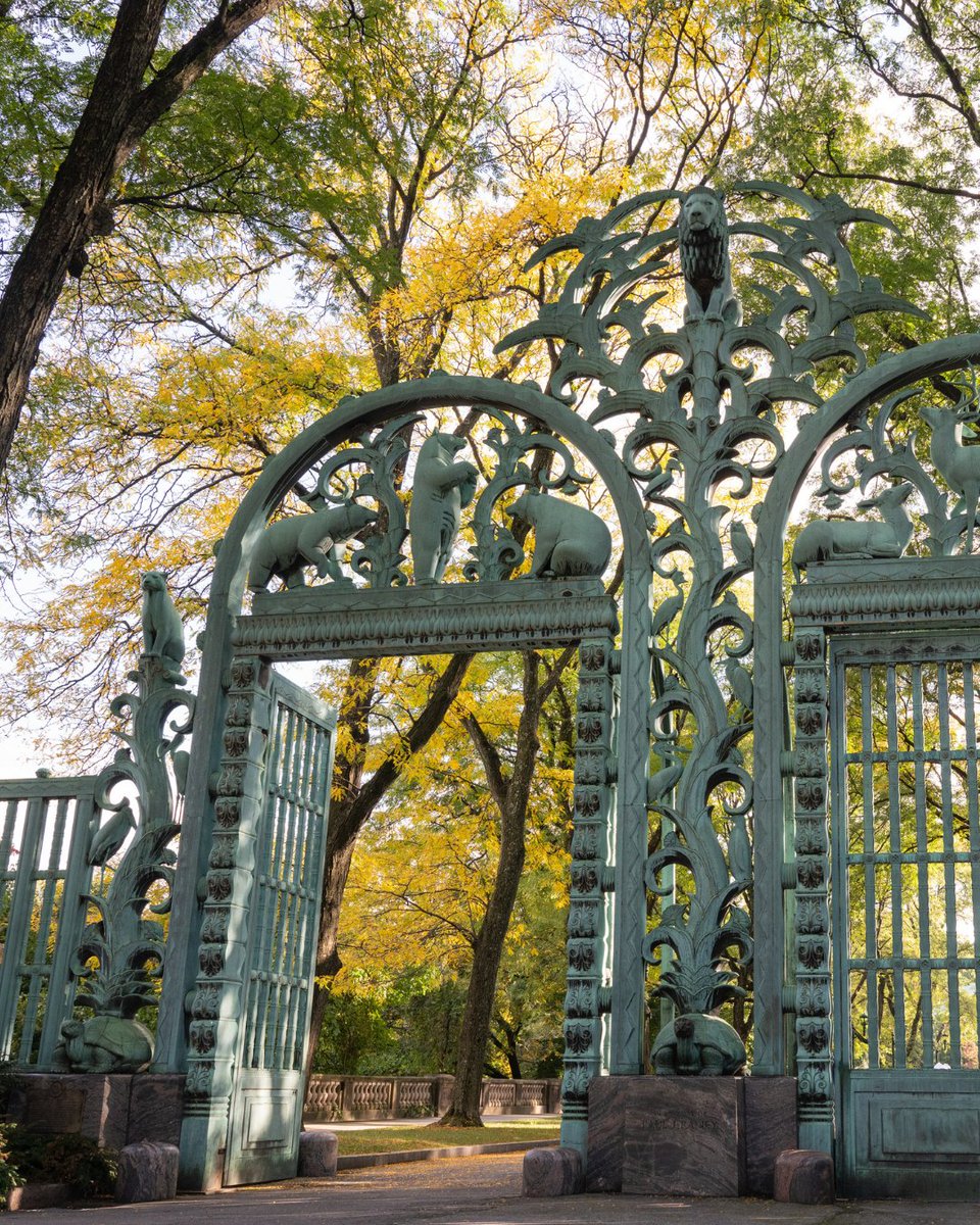 Unlock your potential! Apply for the Advanced Inquiry Program by 2/15. AIP alumni work across industries as change-makers from zoos to classrooms, city parks to nonprofits &amp; more. See how the AIP pairs Miami University online grad courses with WCS parks: bronxzoo.com/AIP