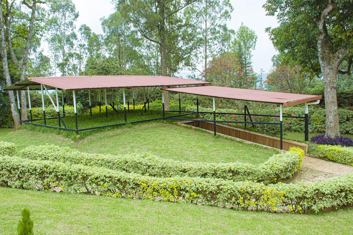 Ngoma District tweet media