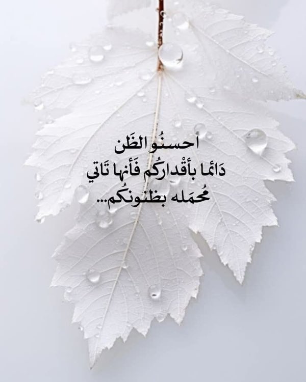 رساله لك ..🤍