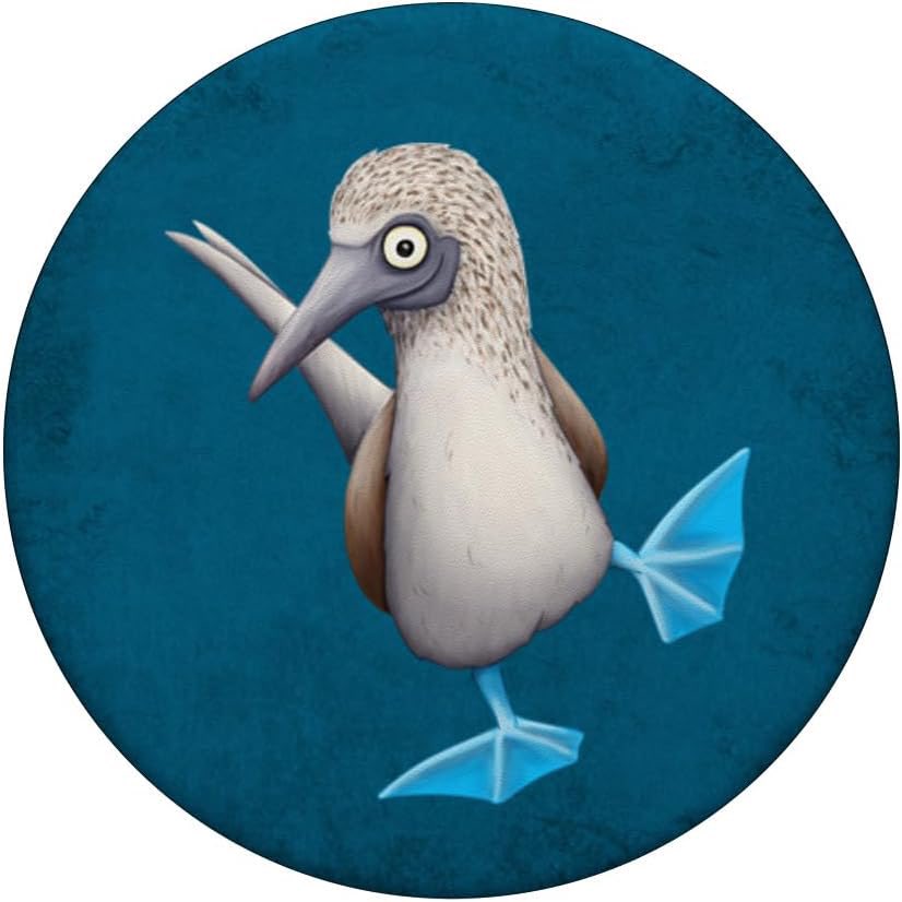 BLUE FOOTED BOB tweet media