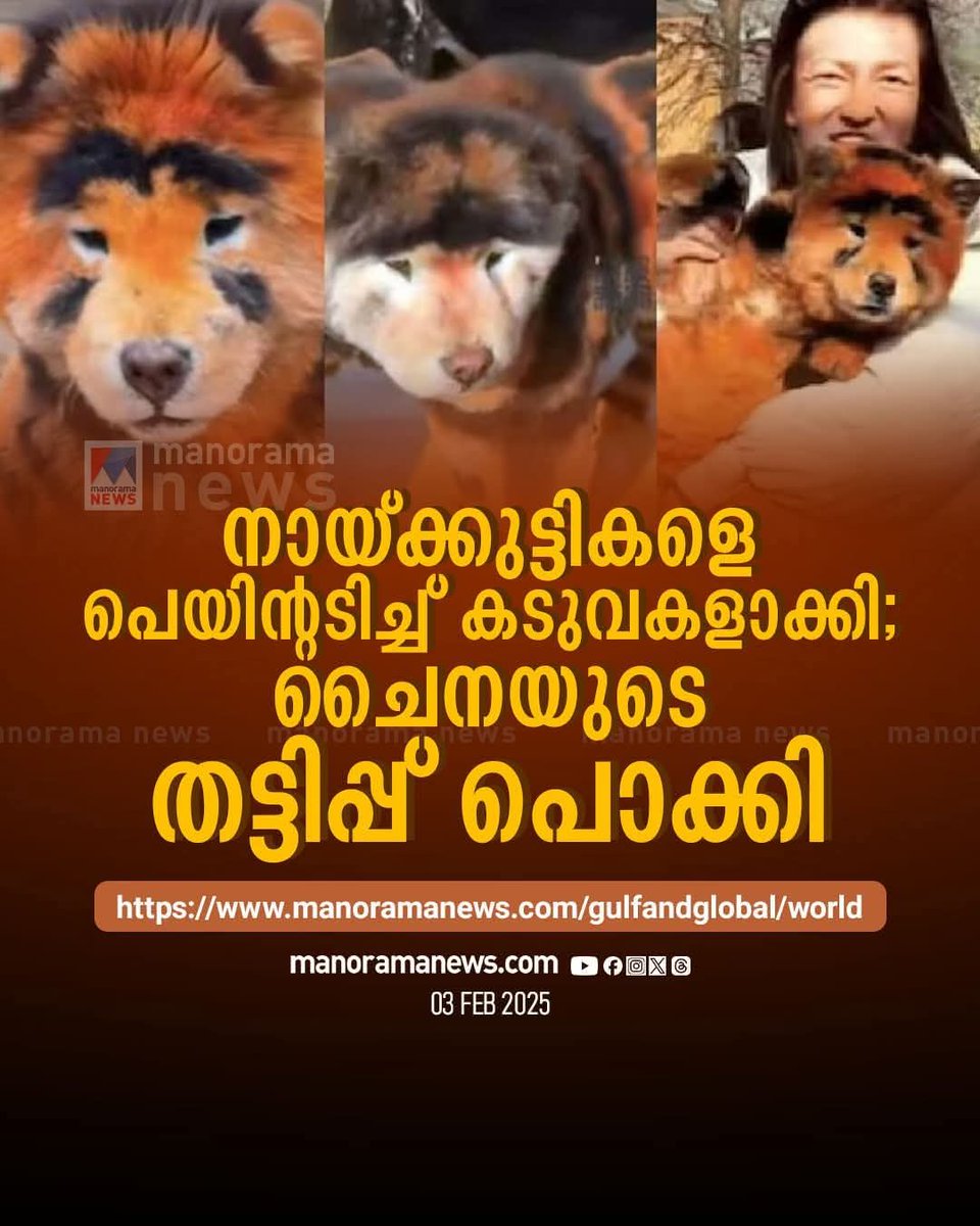 Maya_Lokam_'s tweet photo. വെറുതെ അല്ല ഇന്ത്യന് വ്യോമസേന മേധാവികള് ചൈനയുടെ 5ാം 6ാം തലമുറവിമനങ്ങളെ കുറിച്ച് ചോദിക്കുമ്പോൾ വലിയ ഗൗരവത്തിലെടുക്കാതെ ചിരിക്കുന്നത് 🤭 https://t.co/fZhNMDVuTU
