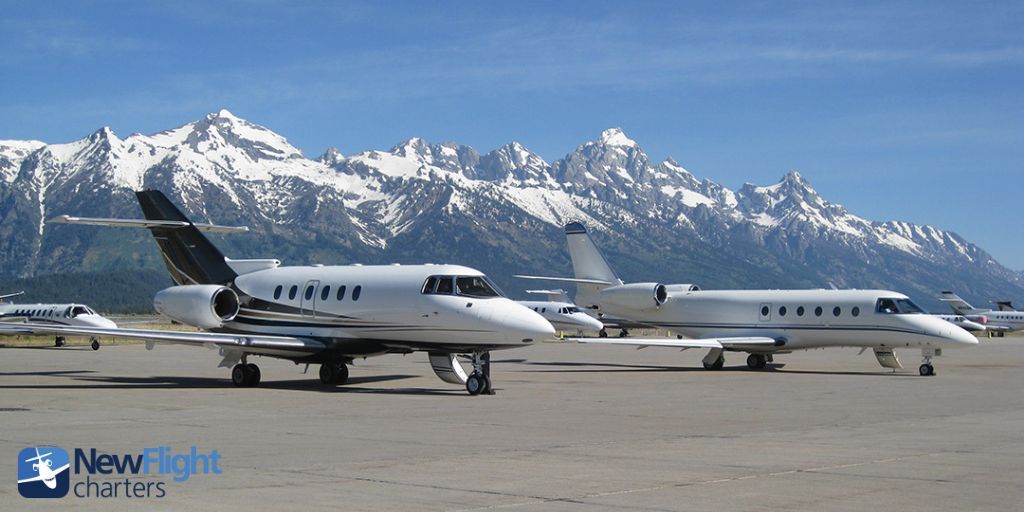New Flight Charters tweet media