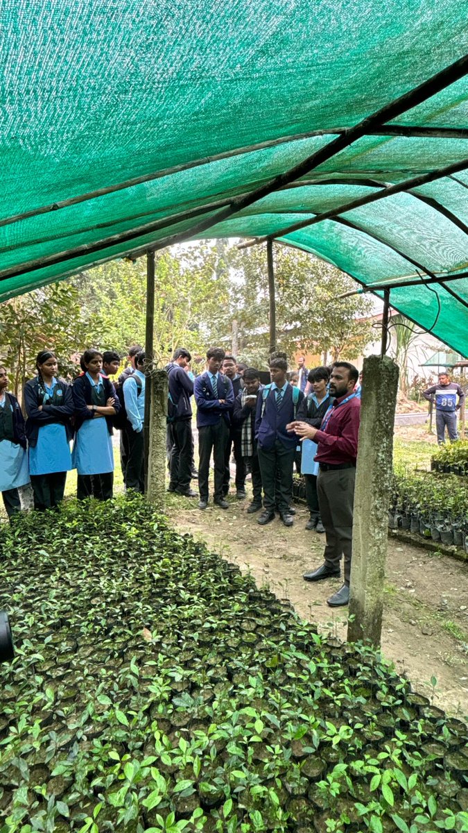 CmertiCsb's tweet photo. On Feb 3, 2025, 65 students from Air Force School, visited CSB-CMERTI. They explored Host Plant Nursery, Muga & Eri Silkworm Rearing and Post-Cocoon Technology, enhancing their interest and understanding of the science behind silk production.
#SilkScience #AirforceSchool #EriMuga https://t.co/AE54zMEc68