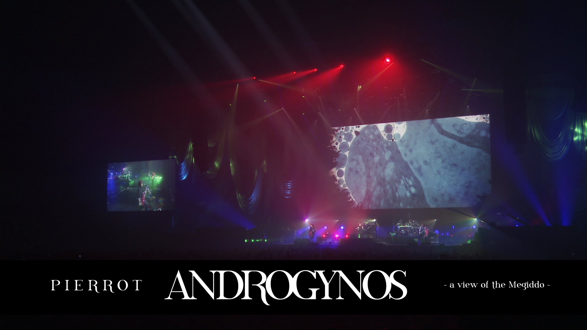 ANDROGYNOS (@androgynosJP) / X