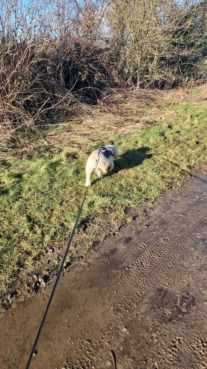Sending new walkies picture 📸 🥰