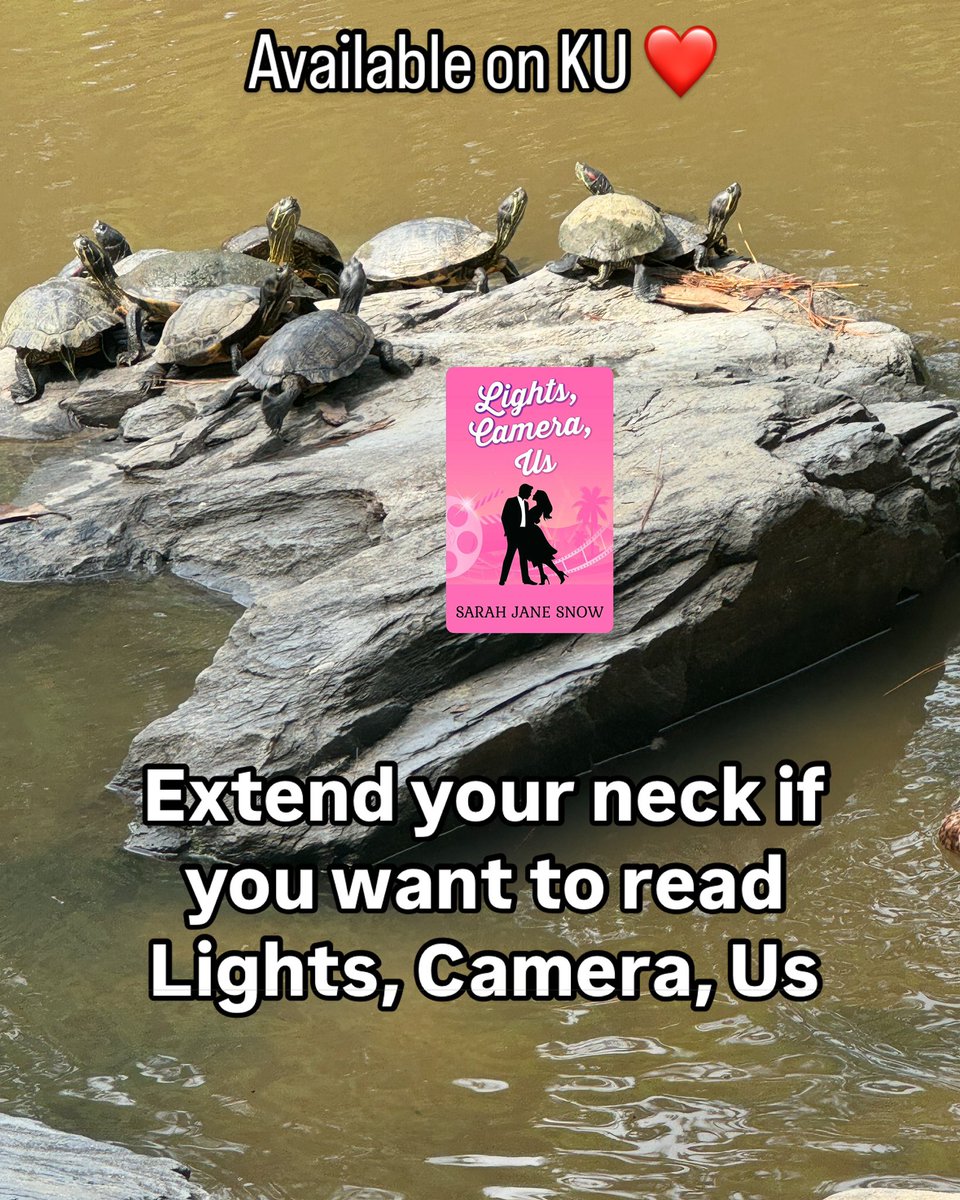 SarahJaneSnow2's tweet photo. This bookclub recommends it! 

#booktwt #bookclub #BooksWorthReading #booklovers #romancebooks #RomanceReaders #kindleunlimted https://t.co/A6fn2eYlD5