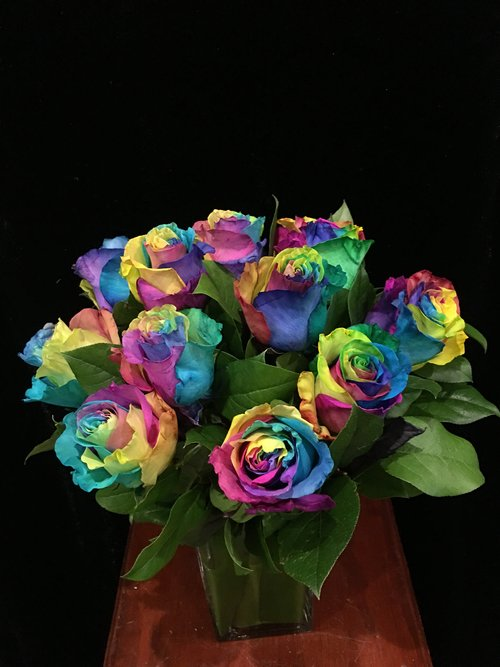 flowersumbrelSA's tweet photo. A Dozen Rainbow Roses https://t.co/JaufID3gmJ