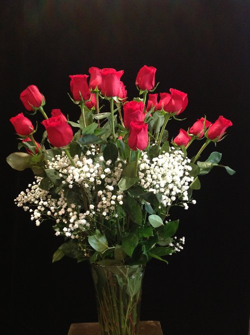 flowersumbrelSA's tweet photo. Two Dozen 70cm Red Roses with Baby Breath https://t.co/zy8xNc7uA1