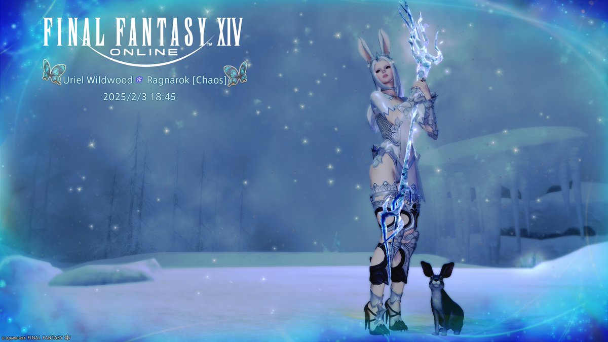 ✨🐰 Amelia 🐰✨ tweet media