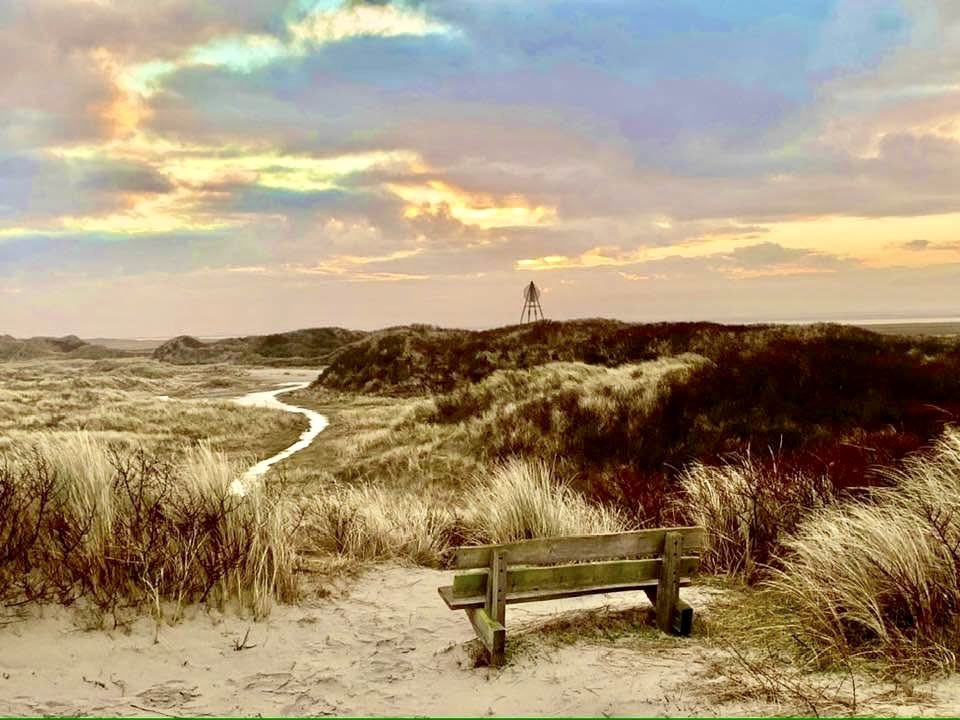 richardtkiewiet tweet media