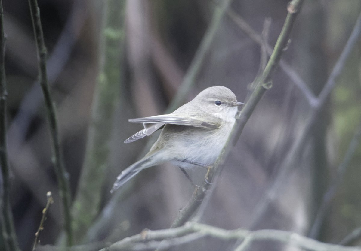 Fergal Stanley tweet media