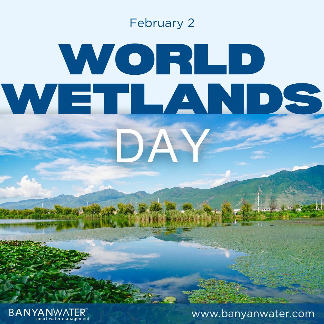 Healthy wetlands mean a healthier planet! This World Wetlands Day, Banyan Water celebrates the vital role wetlands play in water conservation and biodiversity. Check out Banyan’s impressive water-saving track record at banyanwater.com/news/ #WorldWetlandsDay #BanyanWater