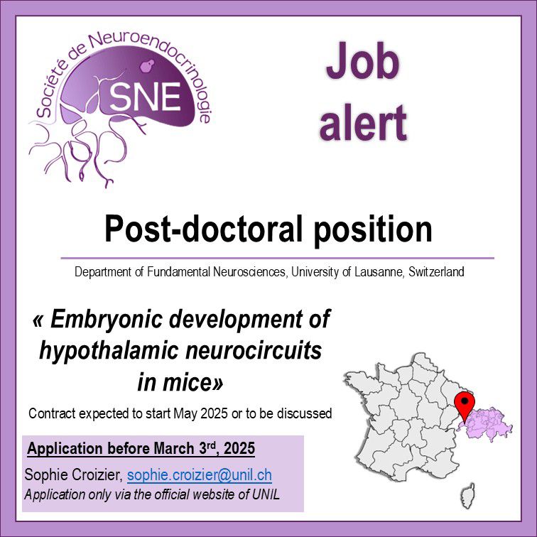 sneuroendo's tweet image. 🚨Job alert: Postdoc positions available in Daniela Cota’s lab in Bordeaux and Sophie Croizier’s lab in Lausanne ⬇️