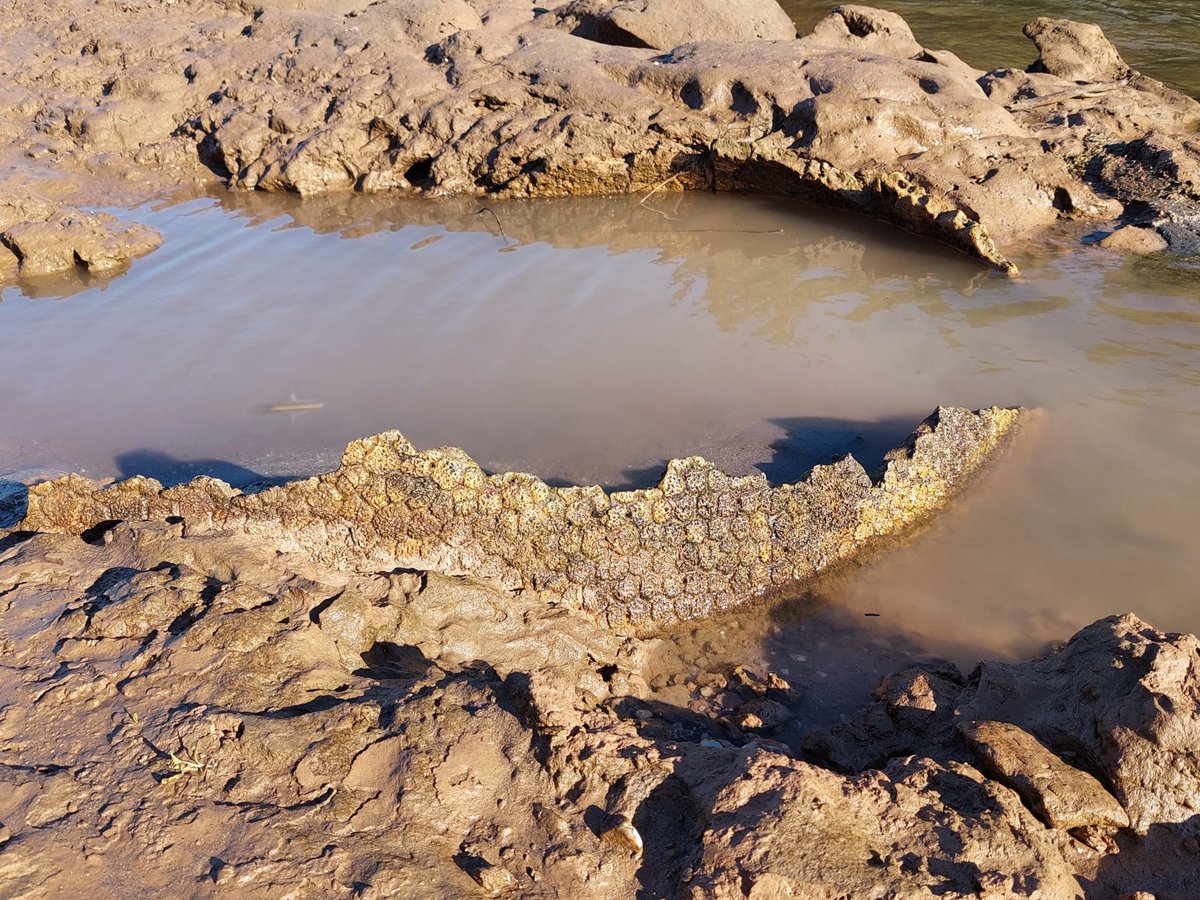 Instituto de Básicas y Aplicadas - UNVM tweet media