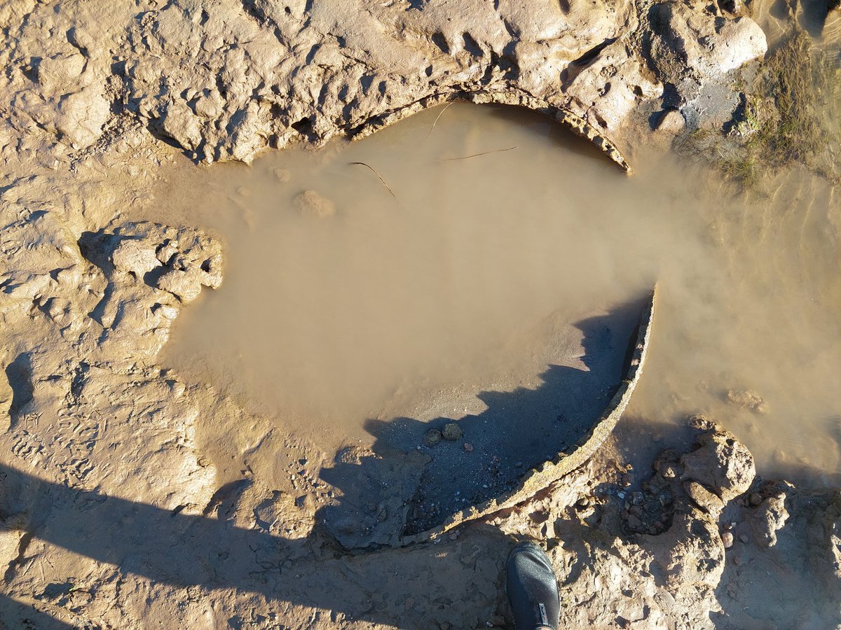 Instituto de Básicas y Aplicadas - UNVM tweet media