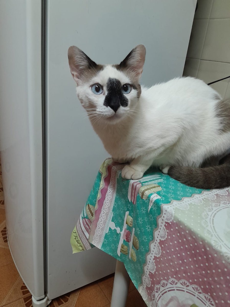 ContatoNerd's tweet image. Oriosvaldo está passando para avisar que a Live está ON!

Terminando uma planilha e depois Gameplay! Bora! #estiloZarabatana

twitch.tv/nohandsneto

#QuadStick #AbleGamersBR #Valorant #ApoiaSe #youtube #live #twitch