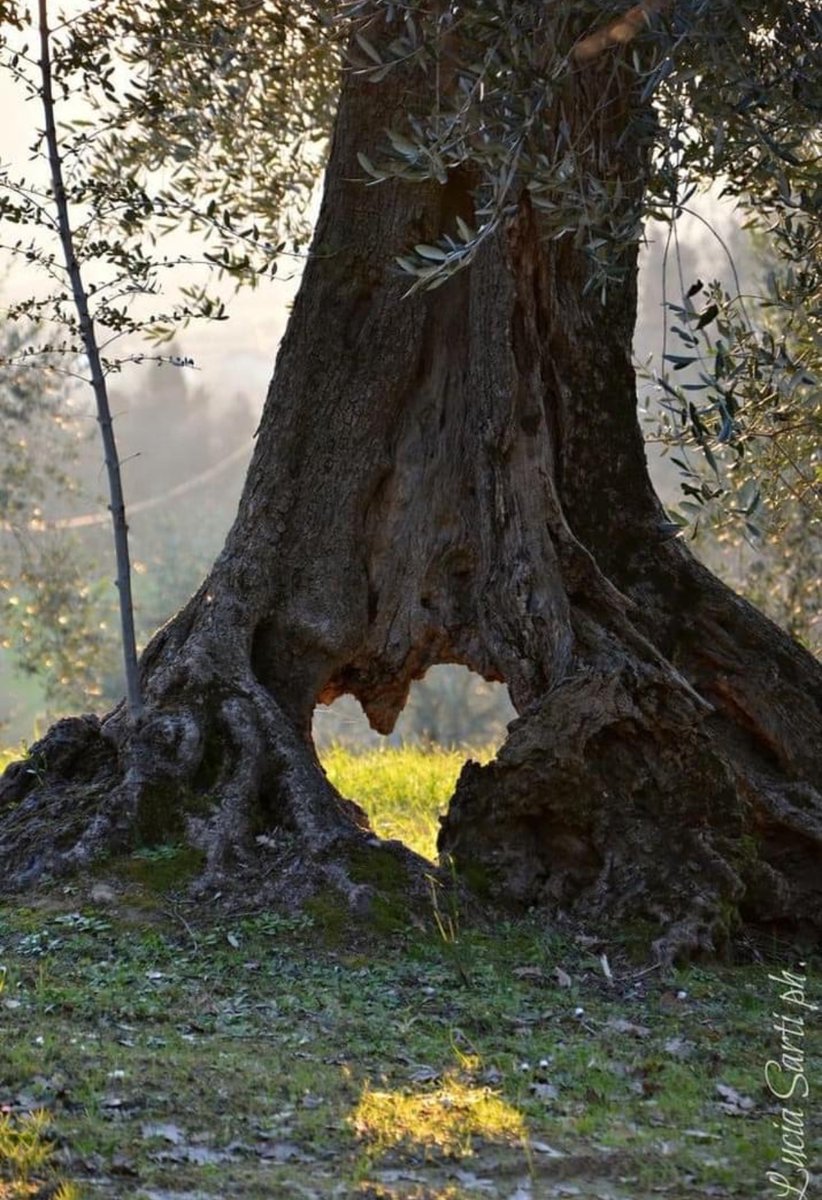 "Our language is the reflection of ourselves. A language is an exact reflection of the character and growth of its speakers." - Cesar Chavez 

#MindfulnessMonday 
#EssexPhysicalTherapy
#GeorgiaPhysicalTherapy
#OnTheMovePhysicalTherapy